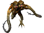 server gratuito ultima online